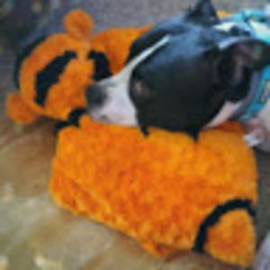 Meet your Posher, Nikki